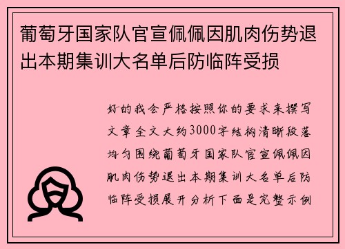 葡萄牙国家队官宣佩佩因肌肉伤势退出本期集训大名单后防临阵受损